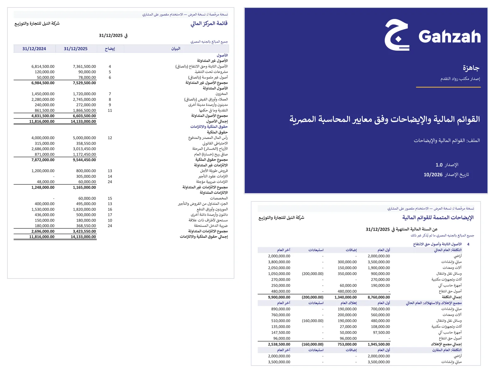 صورة منتج القوائم المالية والإيضاحات